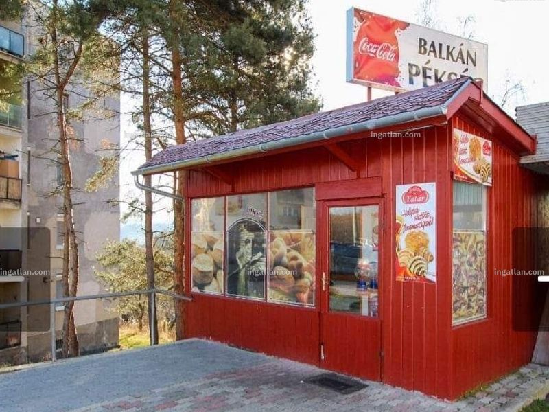 Ingatlan kép