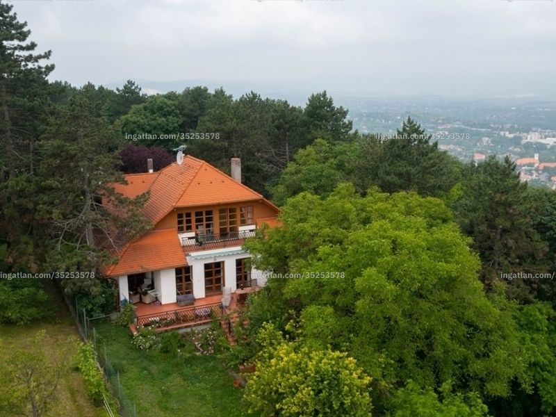 Ingatlan kép