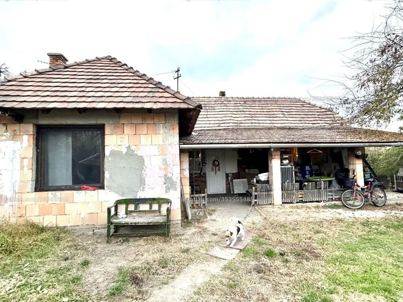 Ingatlan kép