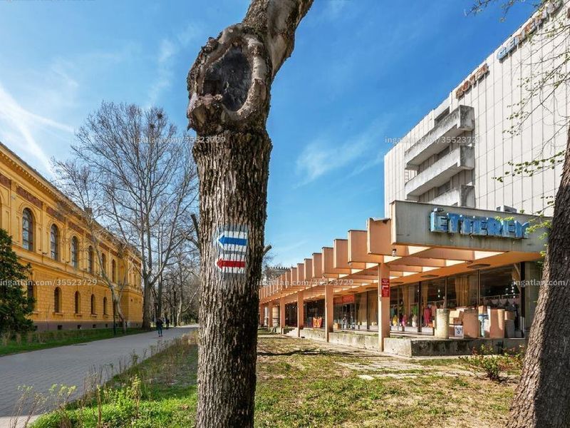 Ingatlan kép