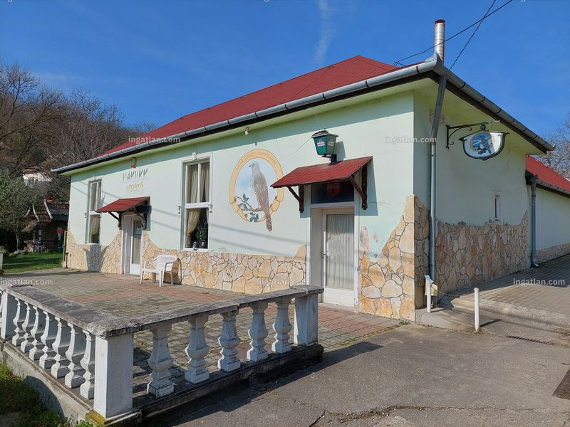 Ingatlan kép