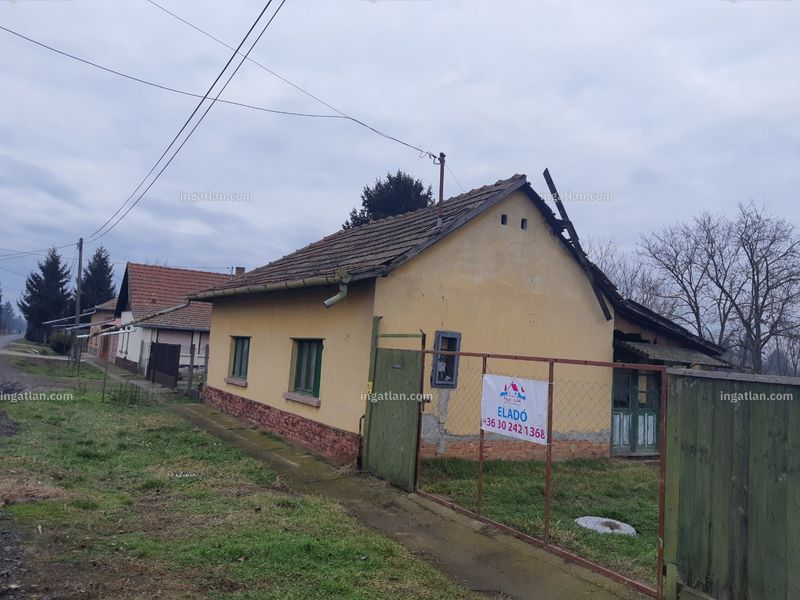 Ingatlan kép
