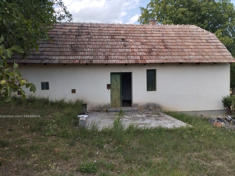 Ingatlan kép