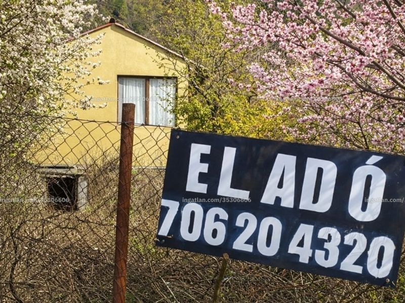 Ingatlan kép