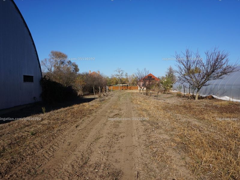 Ingatlan kép