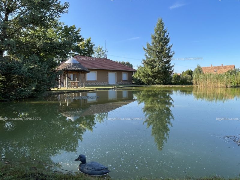 Ingatlan kép