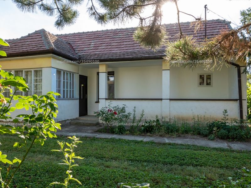Ingatlan kép
