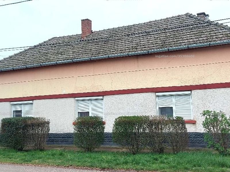 Ingatlan kép