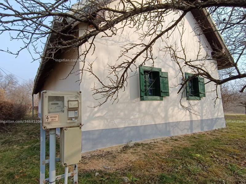 Ingatlan kép