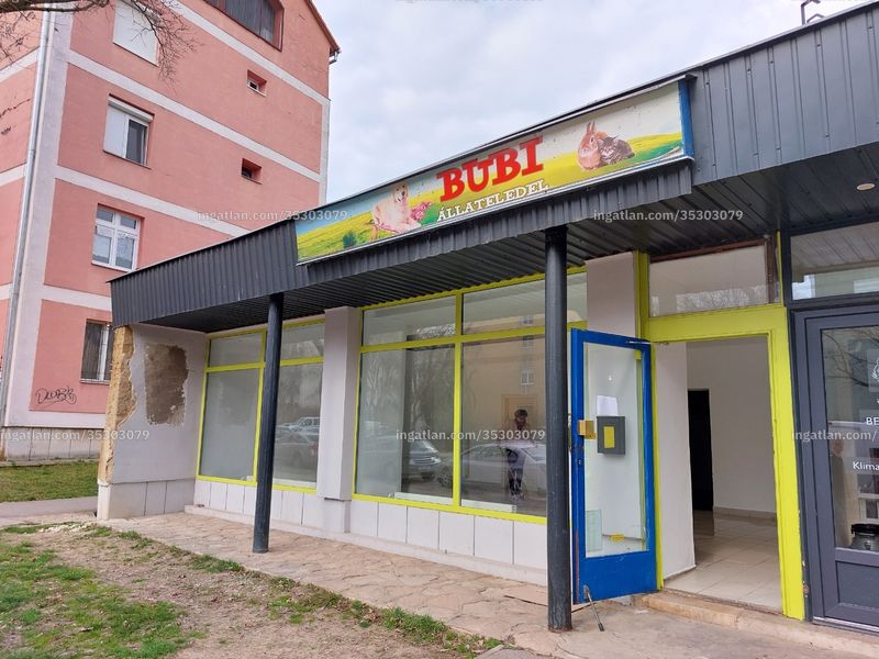 Ingatlan kép