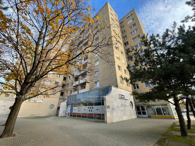Ingatlan kép