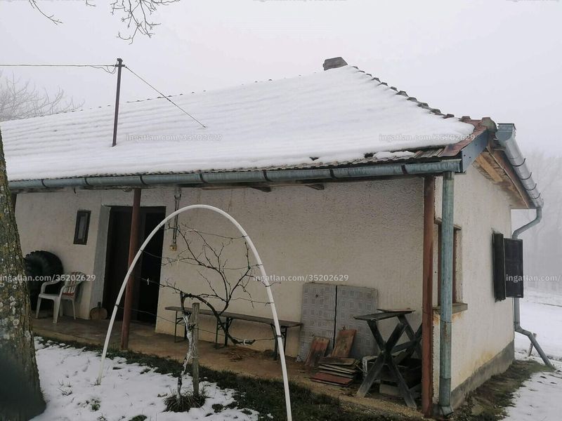 Ingatlan kép