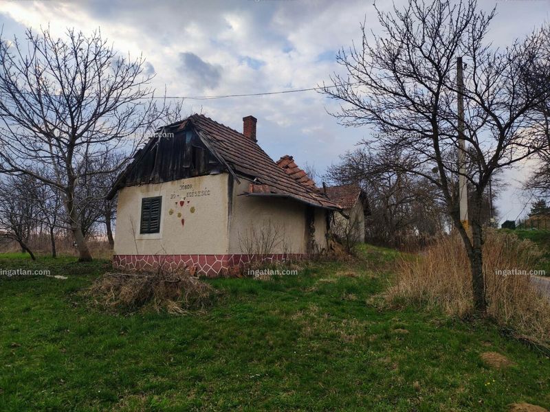 Ingatlan kép