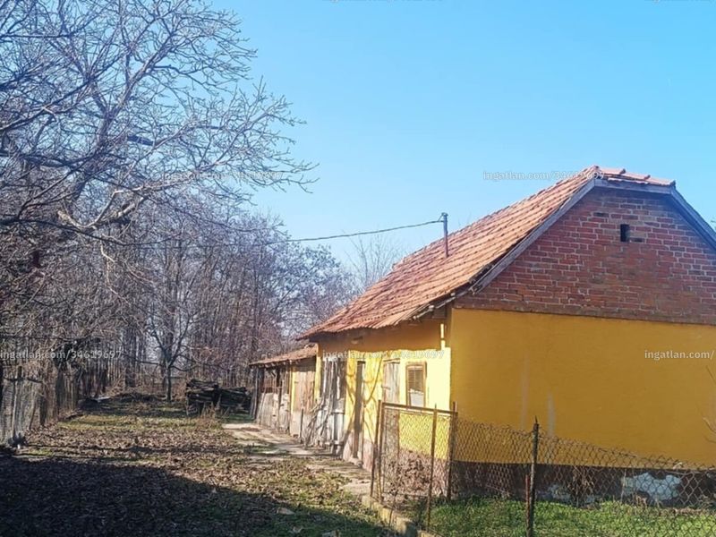 Ingatlan kép