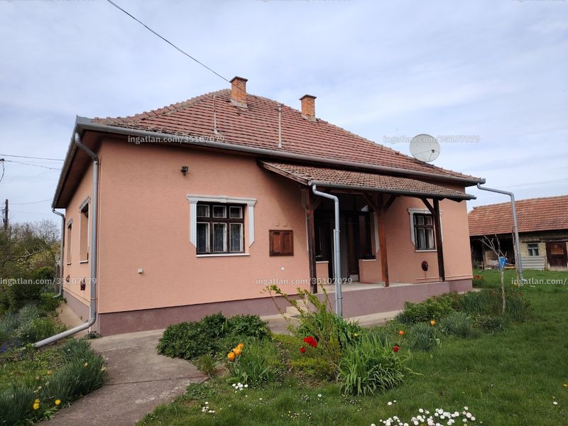 Ingatlan kép