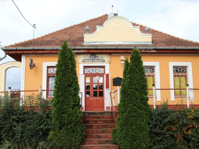 Ingatlan kép