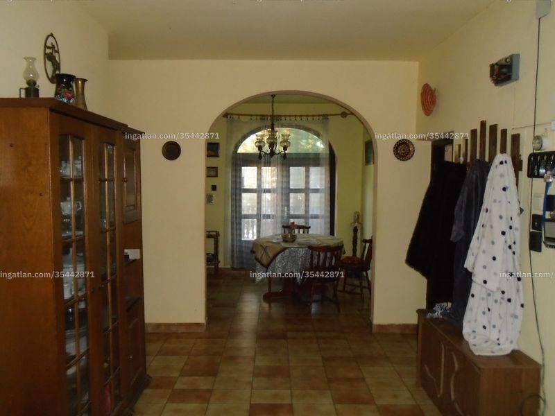 Ingatlan kép