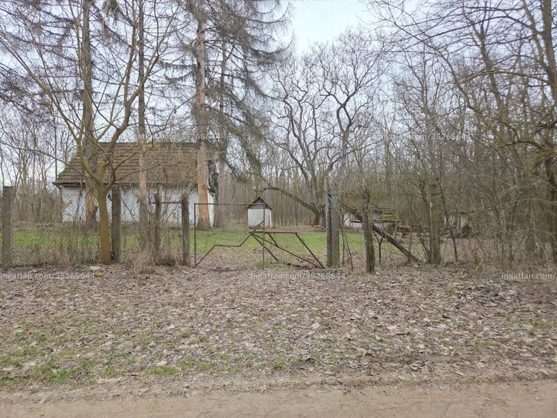 Ingatlan kép