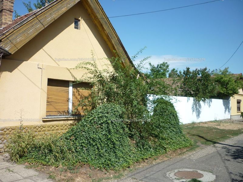 Ingatlan kép