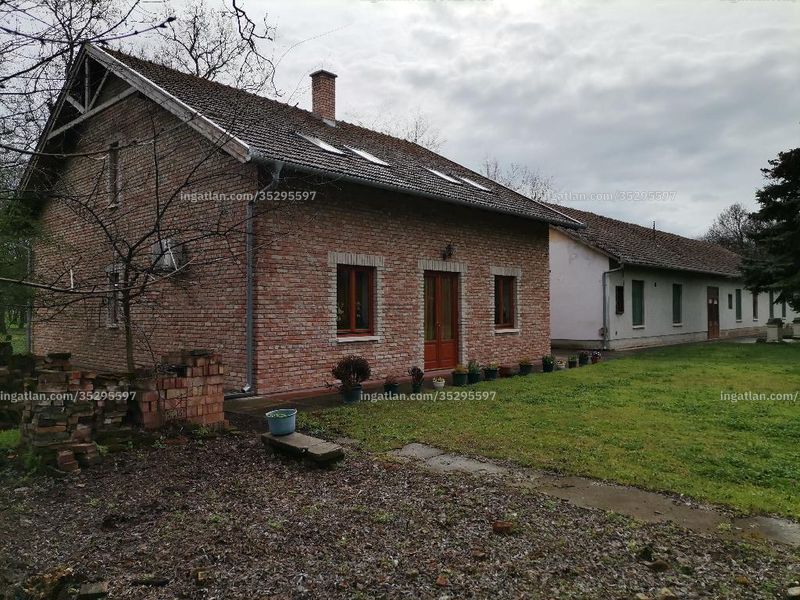 Ingatlan kép
