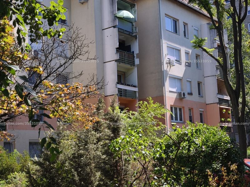 Ingatlan kép