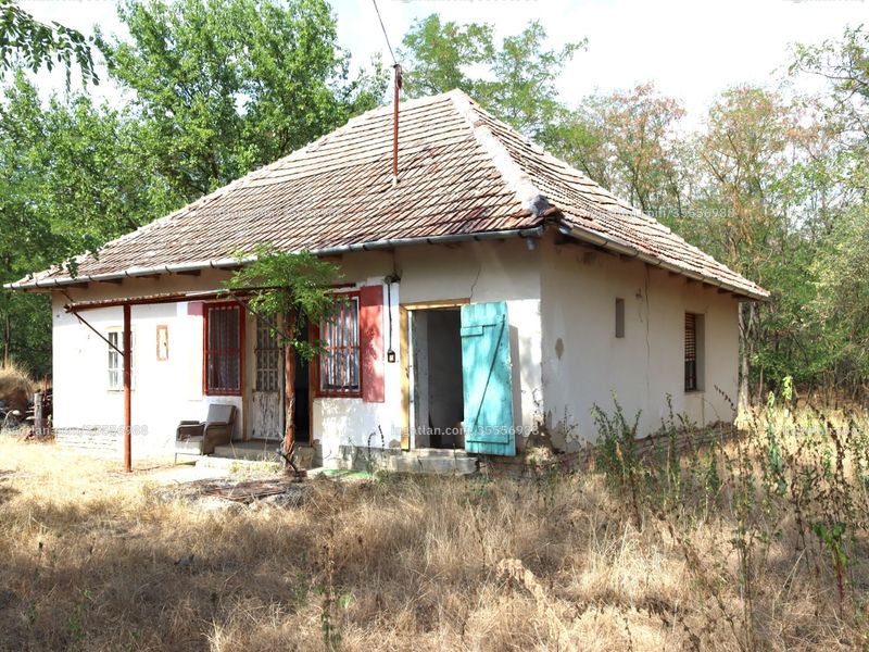 Ingatlan kép
