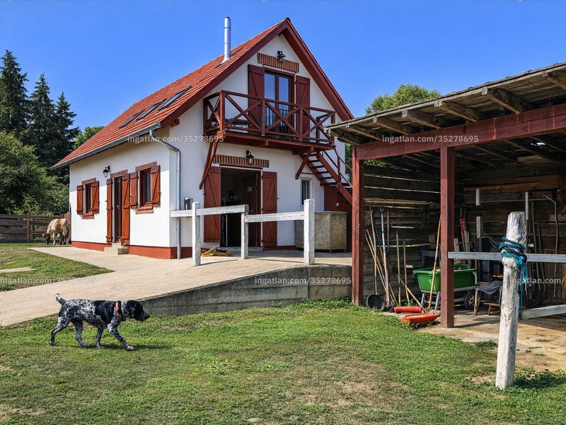 Ingatlan kép