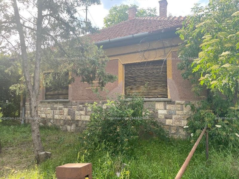 Ingatlan kép