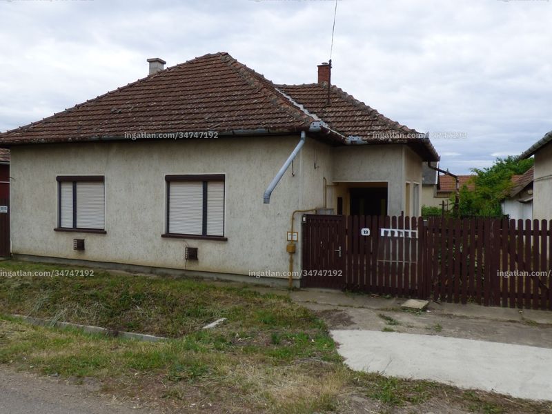 Ingatlan kép