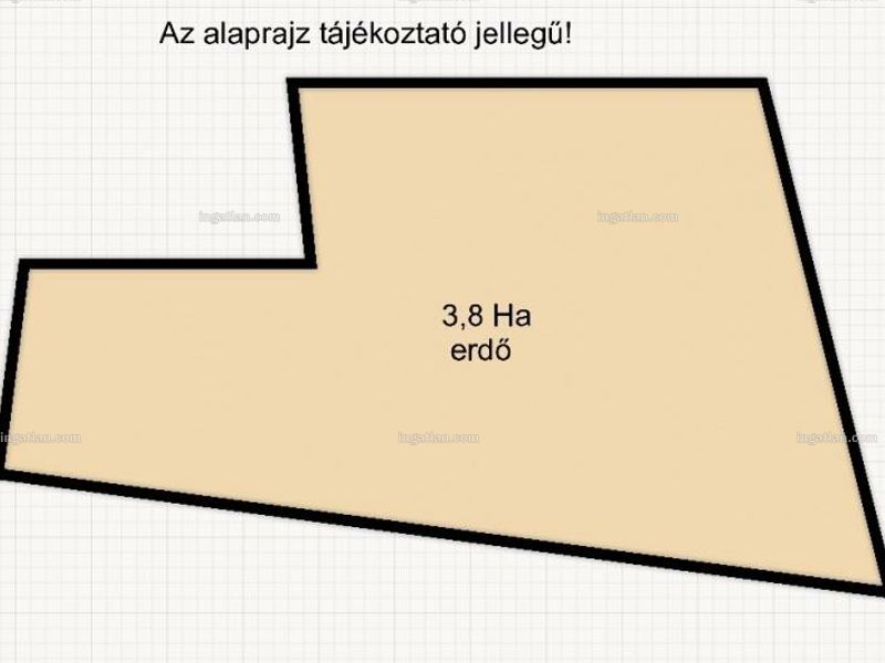 Ingatlan kép