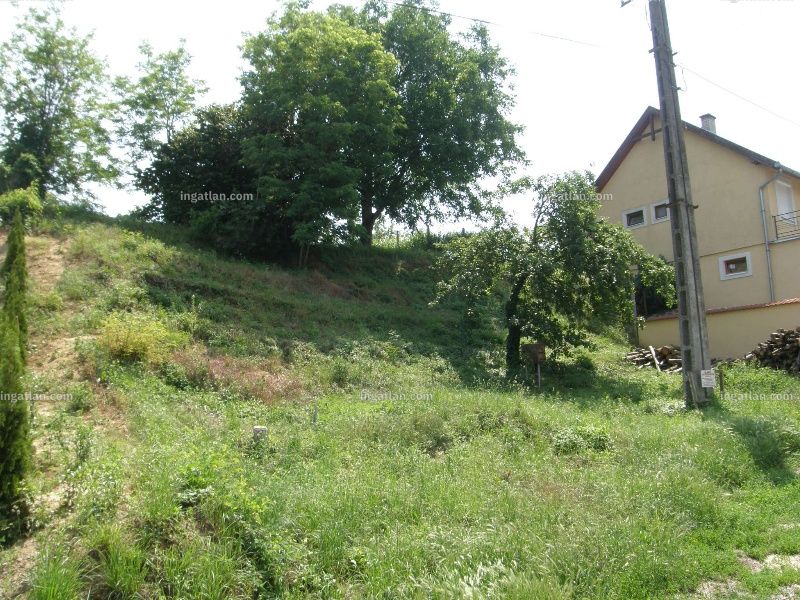 Ingatlan kép