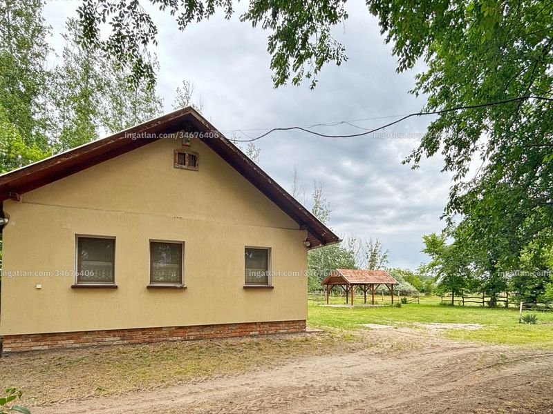 Ingatlan kép