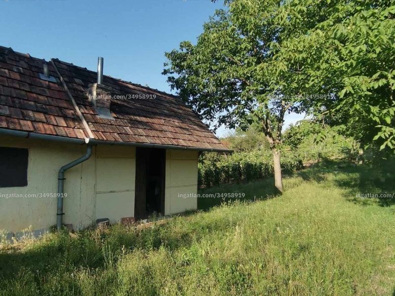 Ingatlan kép