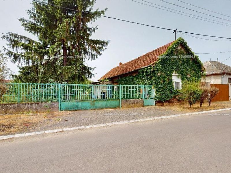 Ingatlan kép