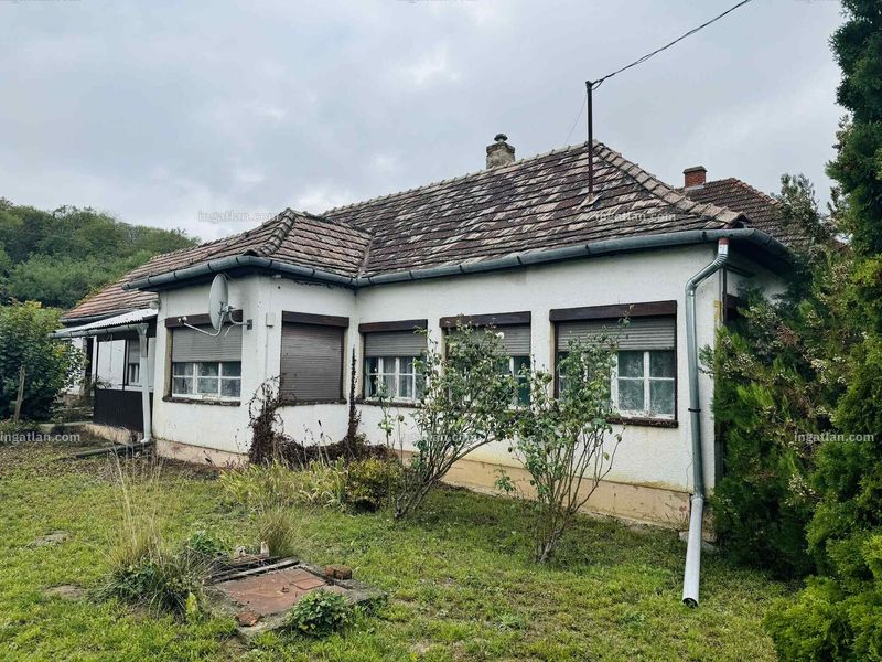 Ingatlan kép