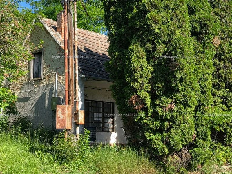 Ingatlan kép