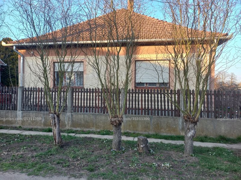 Ingatlan kép
