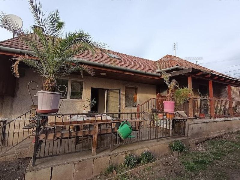 Ingatlan kép