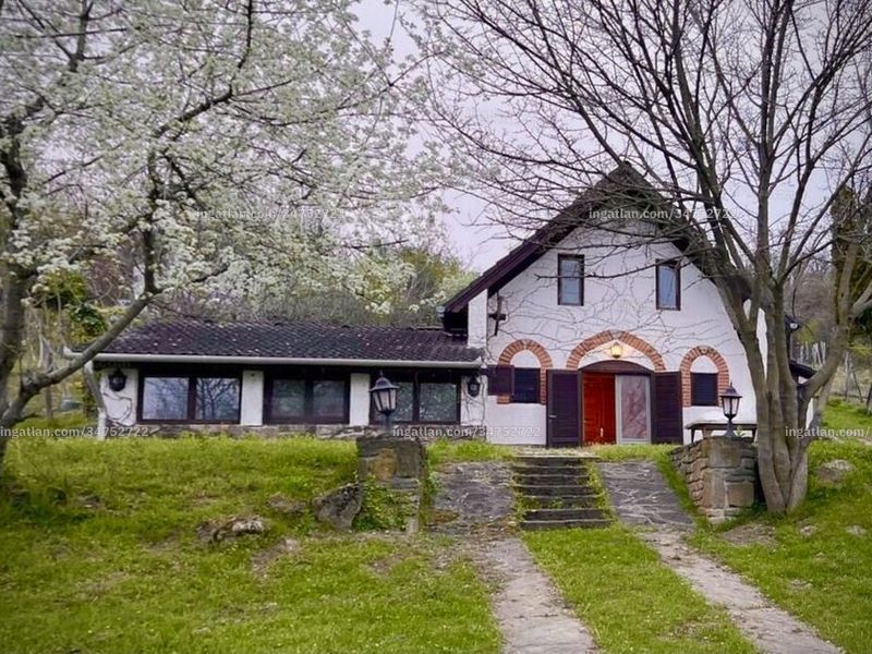 Ingatlan kép