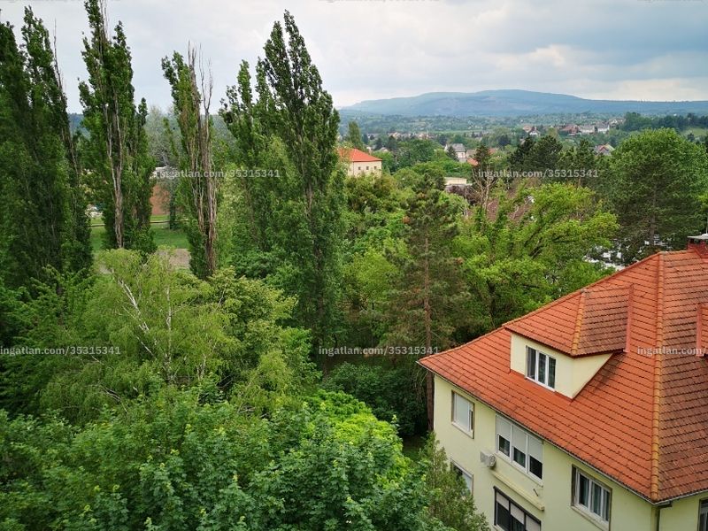 Ingatlan kép