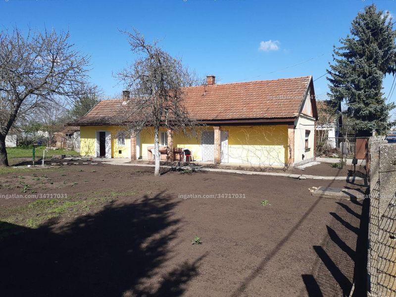 Ingatlan kép