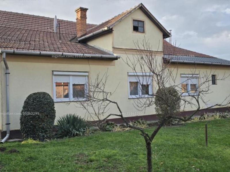 Ingatlan kép