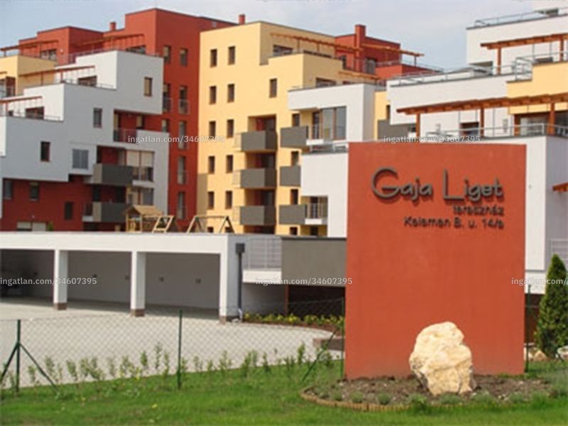 Ingatlan kép