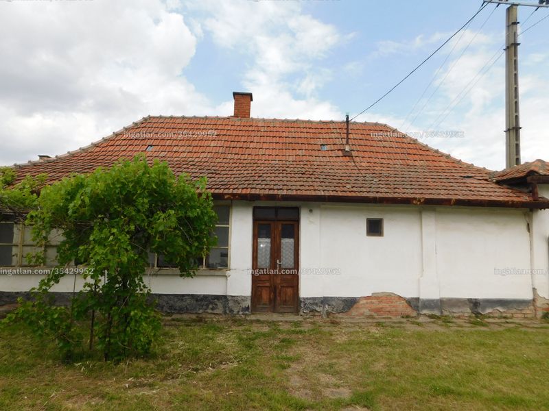 Ingatlan kép
