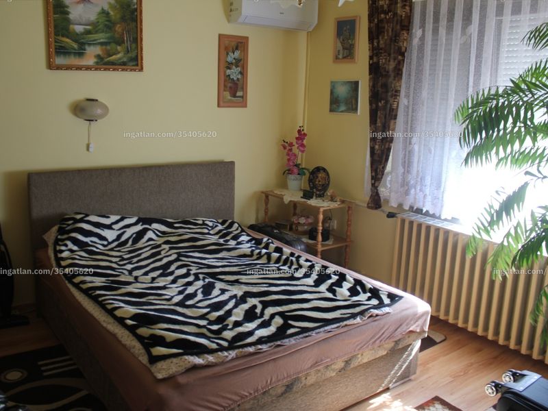 Ingatlan kép