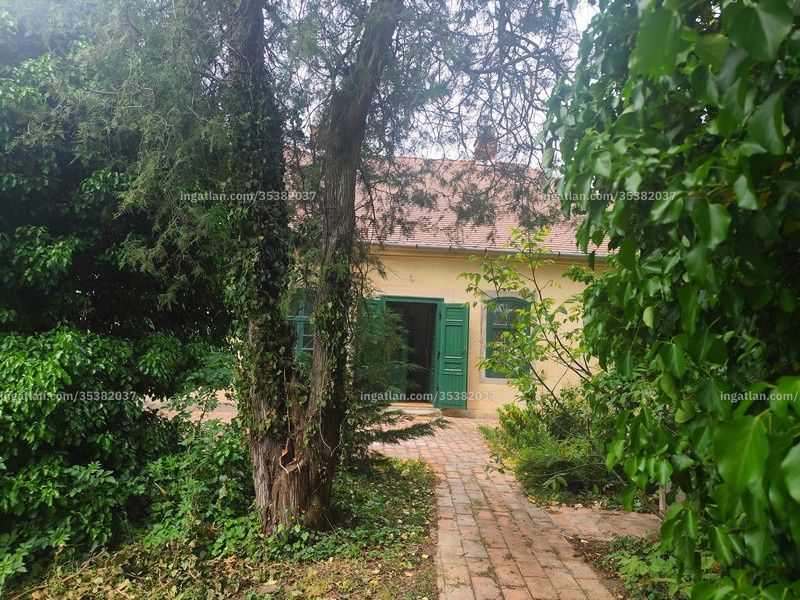 Ingatlan kép