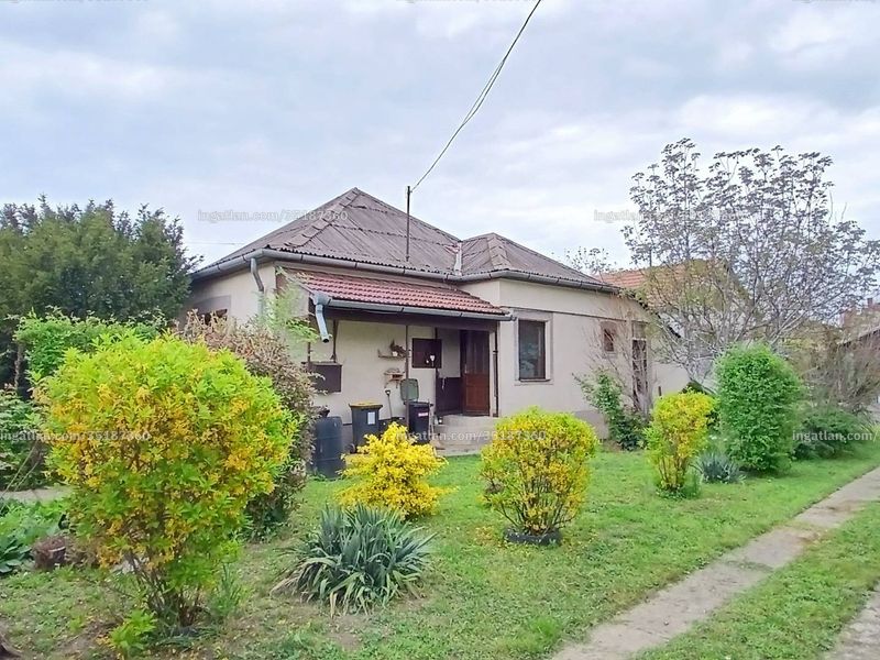Ingatlan kép