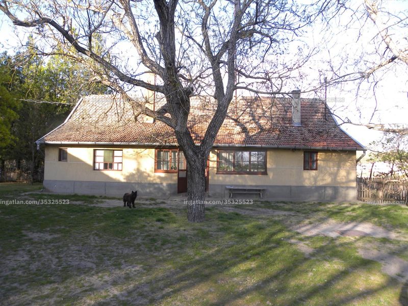 Ingatlan kép
