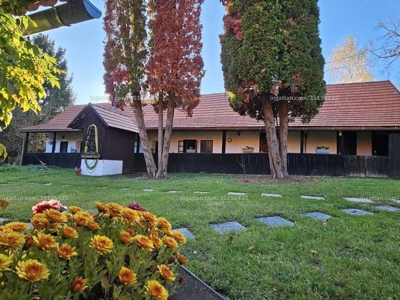 Ingatlan kép