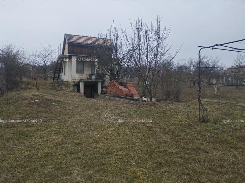 Ingatlan kép